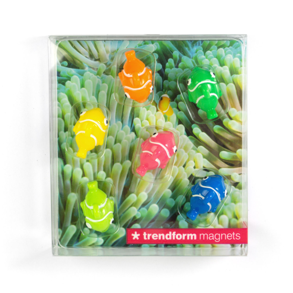 NEMO magneter, 6-pakning - kjøleskapsmagneter