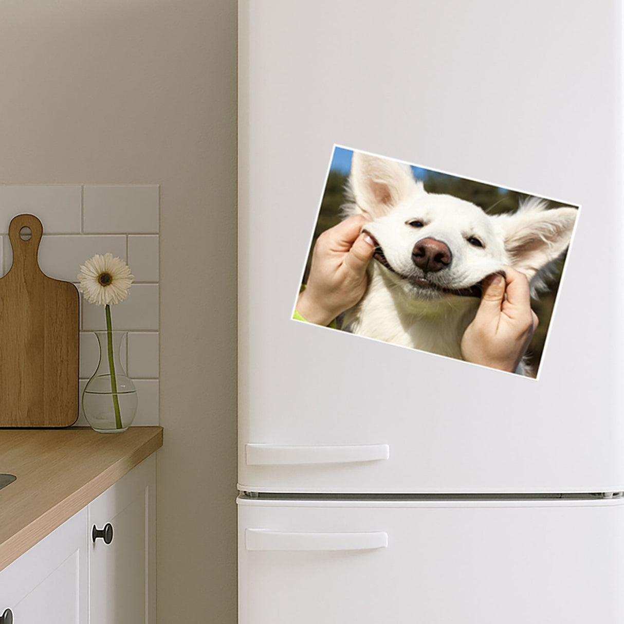 Fotomagnet A4 (1,0 mm)