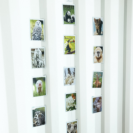 Magnetlomme 10x15 cm, Hvit