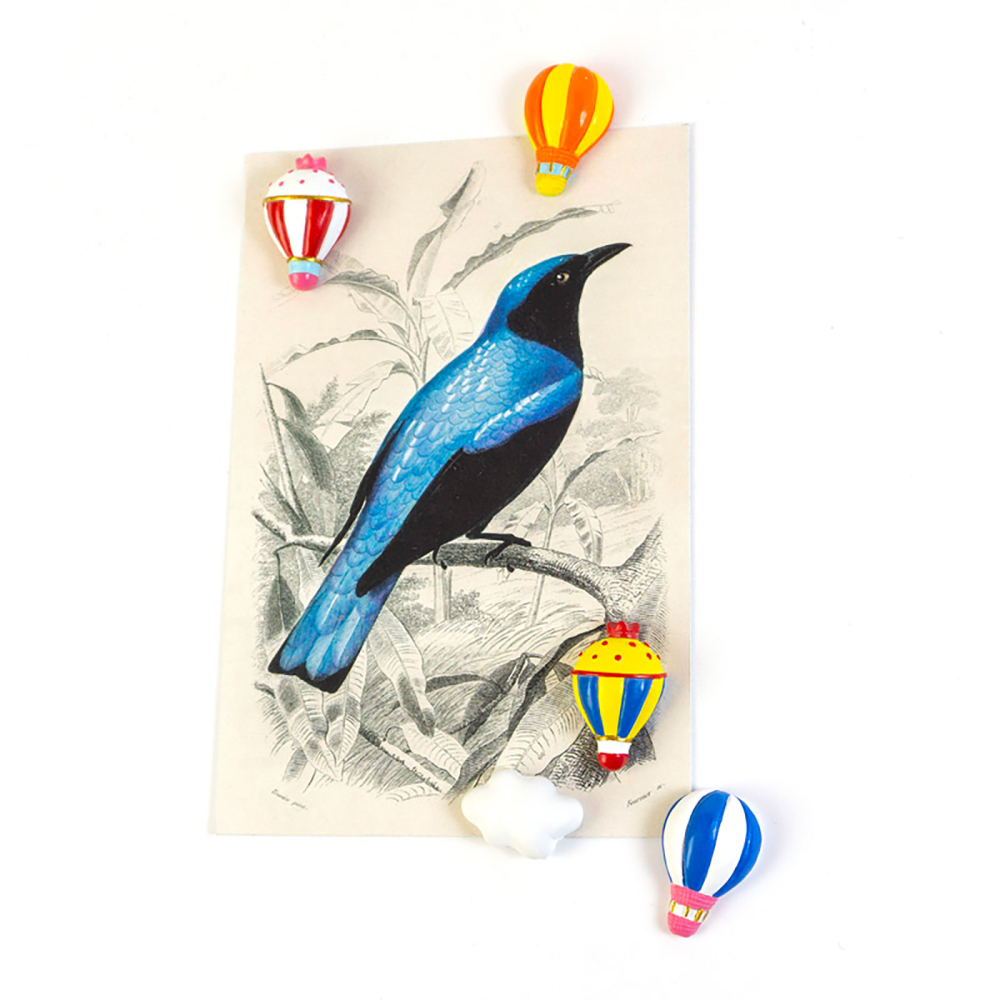 BALLON magneter, 5-pakning - kjøleskapsmagneter