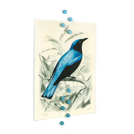 Fargede supermagneter 6x3 mm, 10-pakk SKYBLÅ