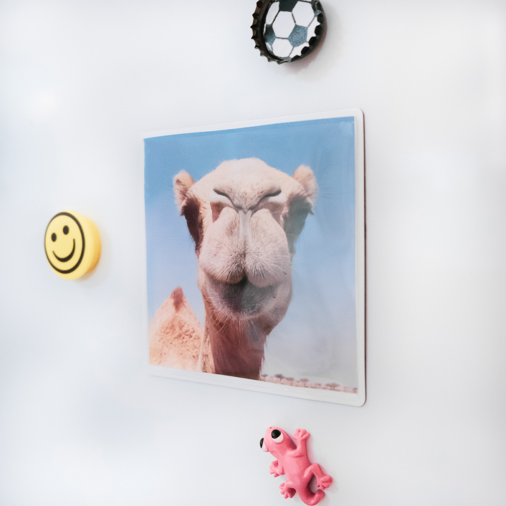 Magnetlomme 10x10 cm, Hvit