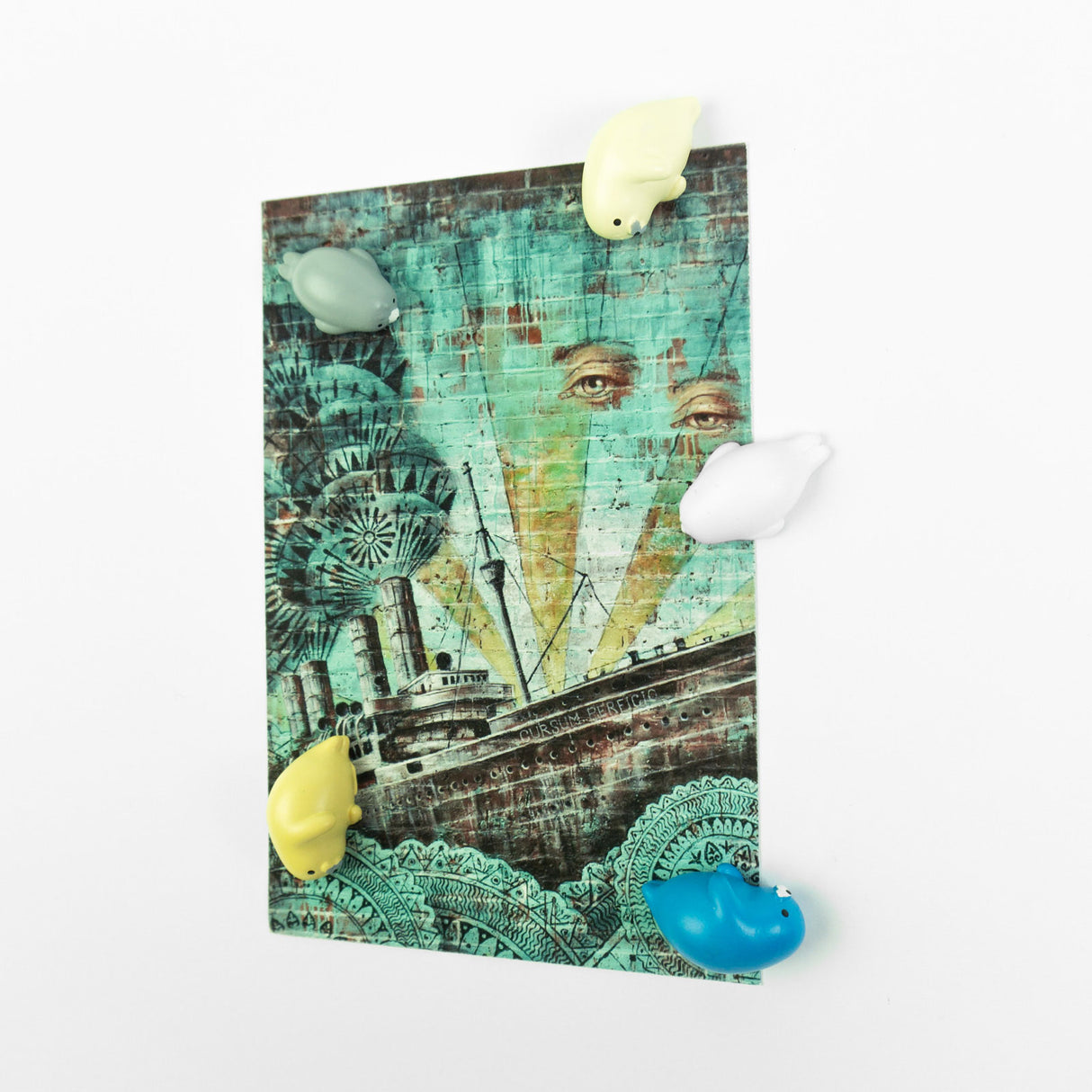 ROBBY magneter, 5-pakk - kjøleskapsmagneter