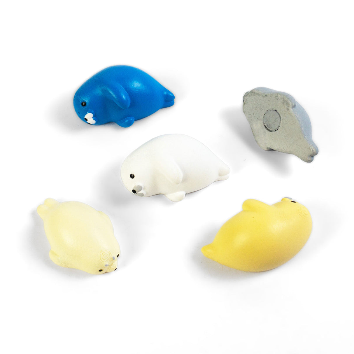 ROBBY magneter, 5-pakk - kjøleskapsmagneter