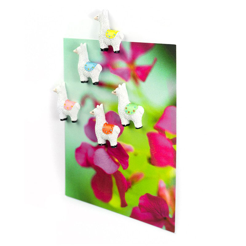 Lama magneter, 5-pakk - kjøleskapsmagneter