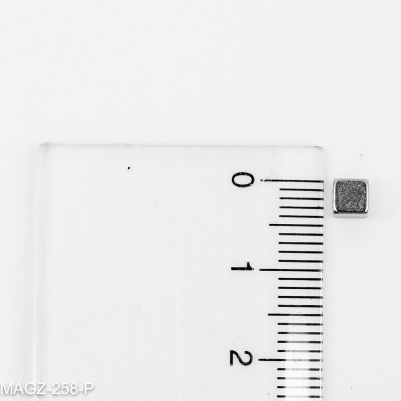 Linjalen viser også hvor liten en 4 mm. kubemagnet er.
