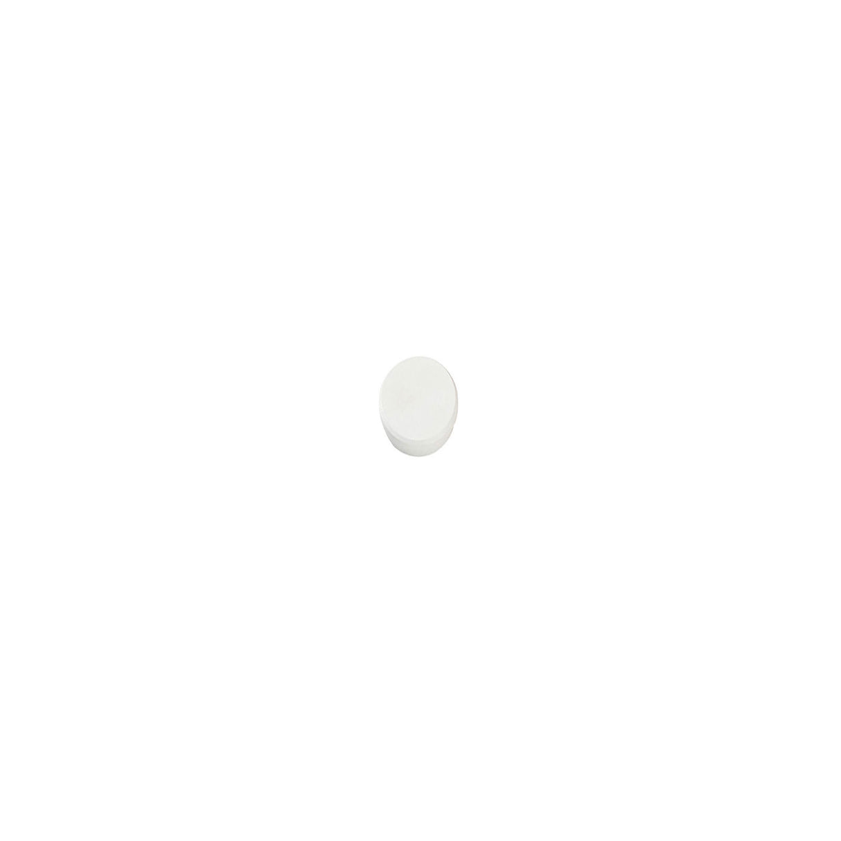 Dahle magnet, hvit Ø13 mm - kontormagnet
