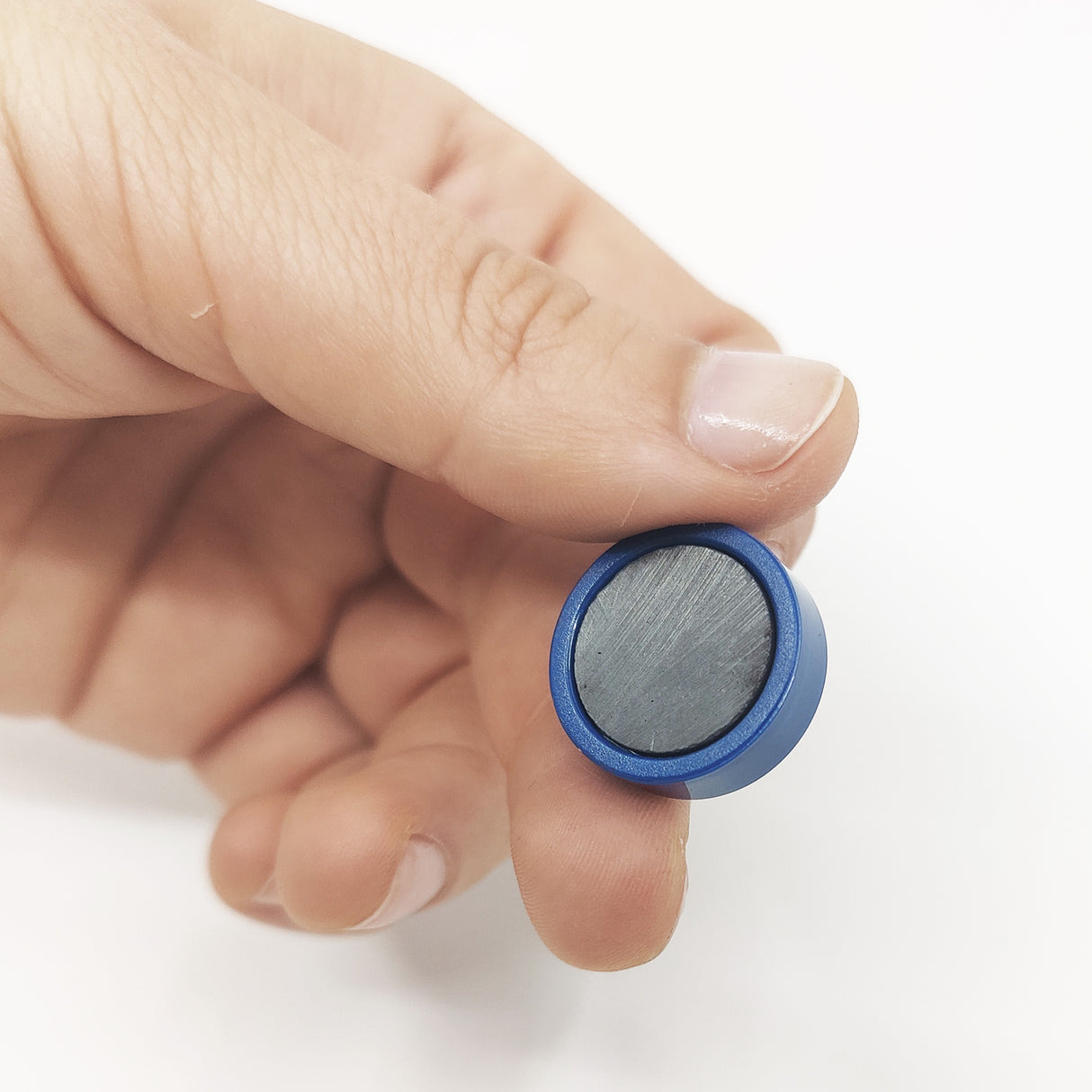 Magnordic Kontormagnet, Blå Ø20 mm (10-pakk)